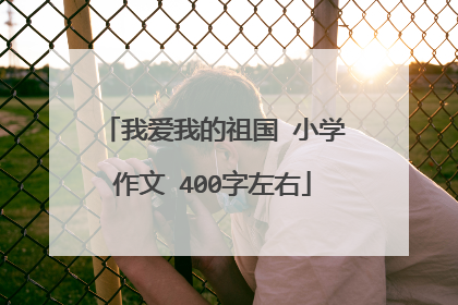 我爱我的祖国 小学作文 400字左右