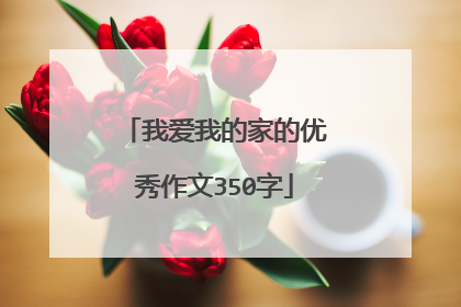 我爱我的家的优秀作文350字
