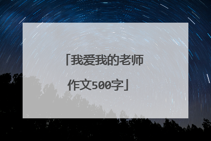 我爱我的老师作文500字