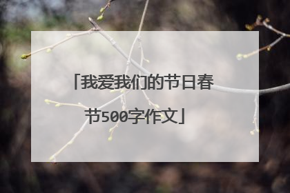 我爱我们的节日春节500字作文