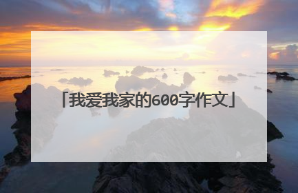 我爱我家的600字作文