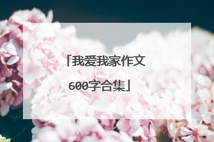 我爱我家作文600字合集
