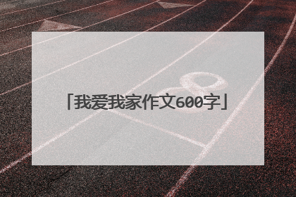 我爱我家作文600字