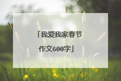 我爱我家春节作文600字