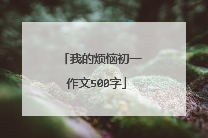 我的烦恼初一作文500字