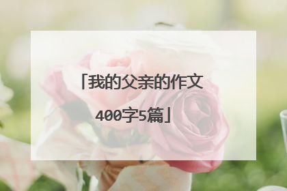 我的父亲的作文400字5篇
