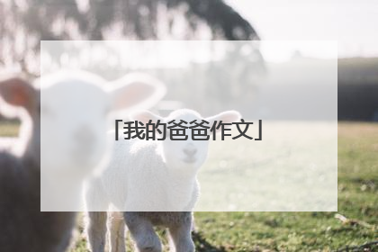 我的爸爸作文