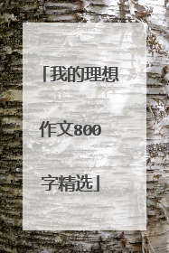我的理想作文800字精选