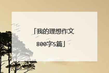 我的理想作文800字5篇