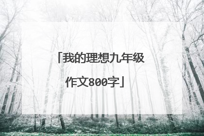 我的理想九年级作文800字