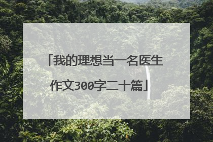 我的理想当一名医生作文300字二十篇