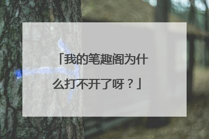我的笔趣阁为什么打不开了呀?