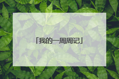我的一周周记
