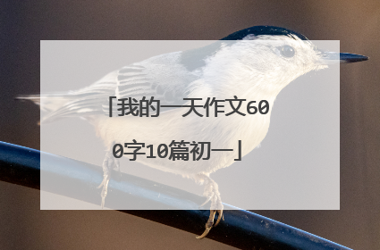 我的一天作文600字10篇初一