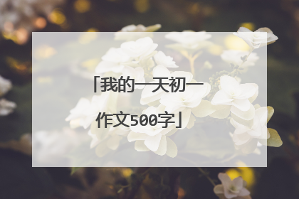 我的一天初一作文500字