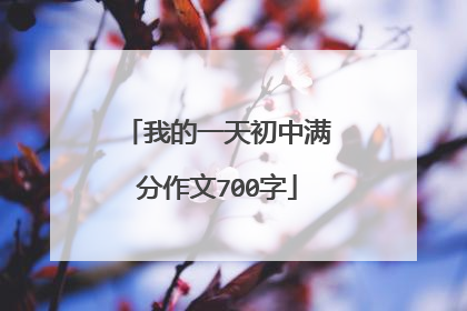 我的一天初中满分作文700字