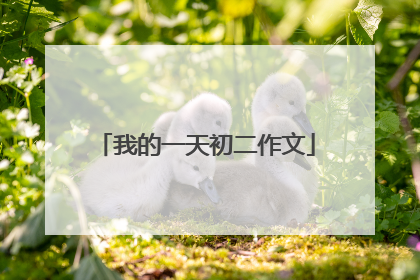 我的一天初二作文