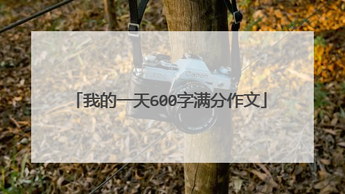 我的一天600字满分作文
