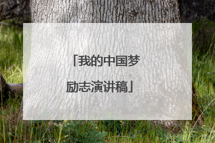 我的中国梦励志演讲稿