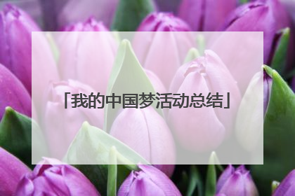 我的中国梦活动总结