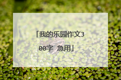 我的乐园作文300字 急用