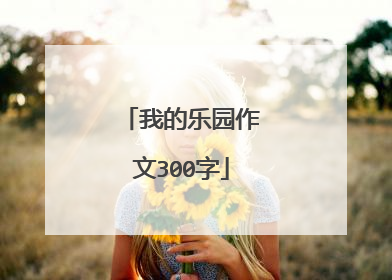 我的乐园作文300字