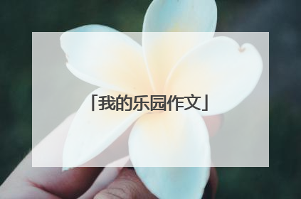 我的乐园作文