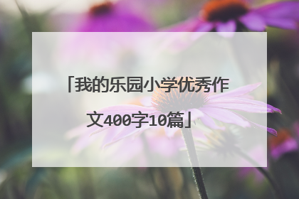 我的乐园小学优秀作文400字10篇