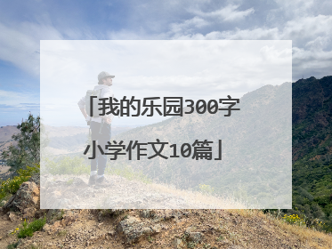 我的乐园300字小学作文10篇