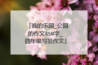 我的乐园_公园的作文450字_四年级写景作文