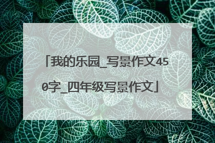 我的乐园_写景作文450字_四年级写景作文