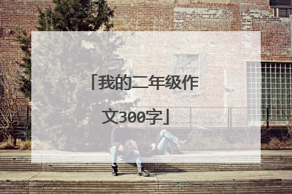 我的二年级作文300字
