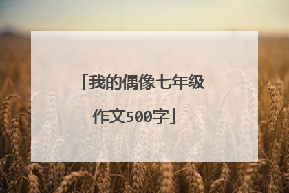 我的偶像七年级作文500字