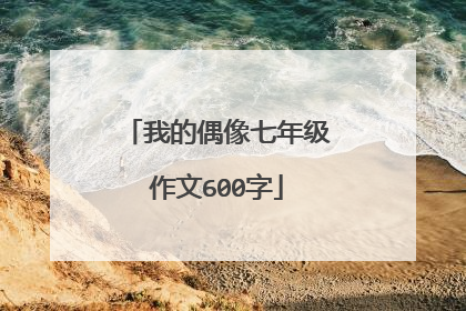 我的偶像七年级作文600字