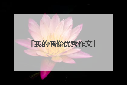 我的偶像优秀作文