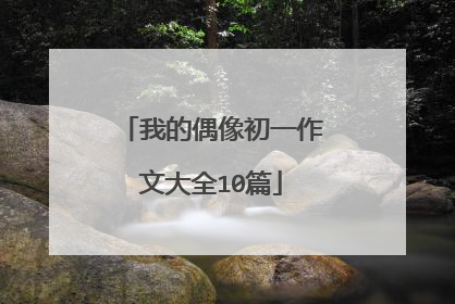 我的偶像初一作文大全10篇