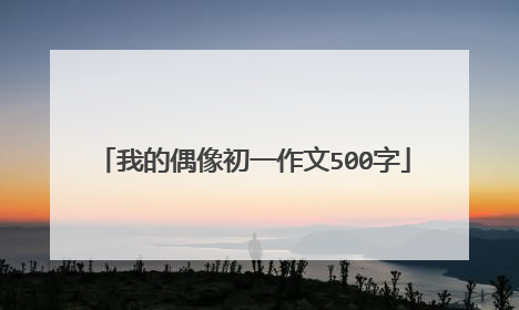 我的偶像初一作文500字