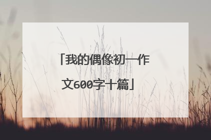 我的偶像初一作文600字十篇
