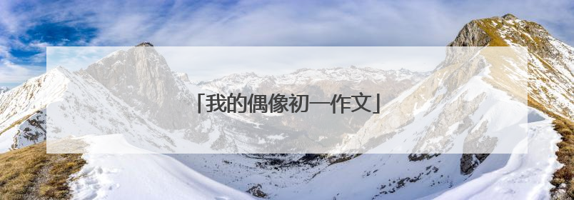 我的偶像初一作文