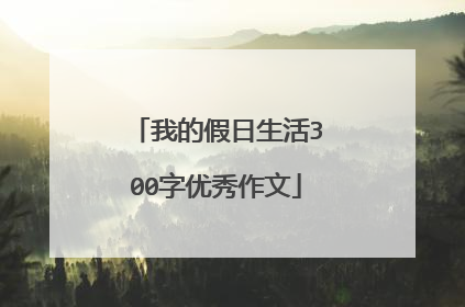 我的假日生活300字优秀作文