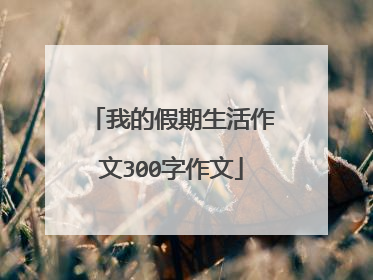 我的假期生活作文300字作文