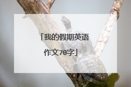 我的假期英语作文70字