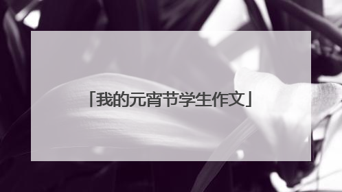 我的元宵节学生作文