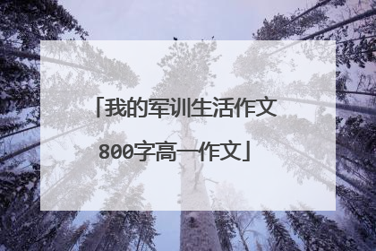 我的军训生活作文800字高一作文