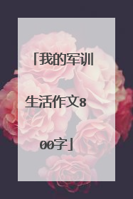 我的军训生活作文800字