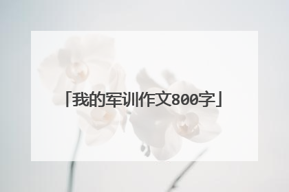 我的军训作文800字