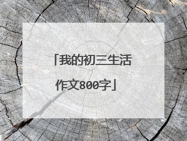 我的初三生活作文800字