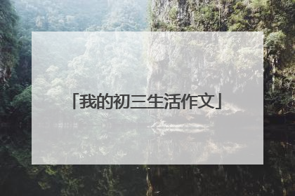 我的初三生活作文