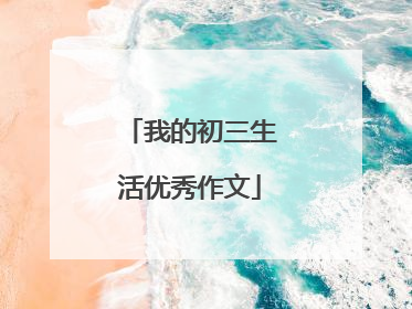 我的初三生活优秀作文