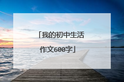 我的初中生活作文600字